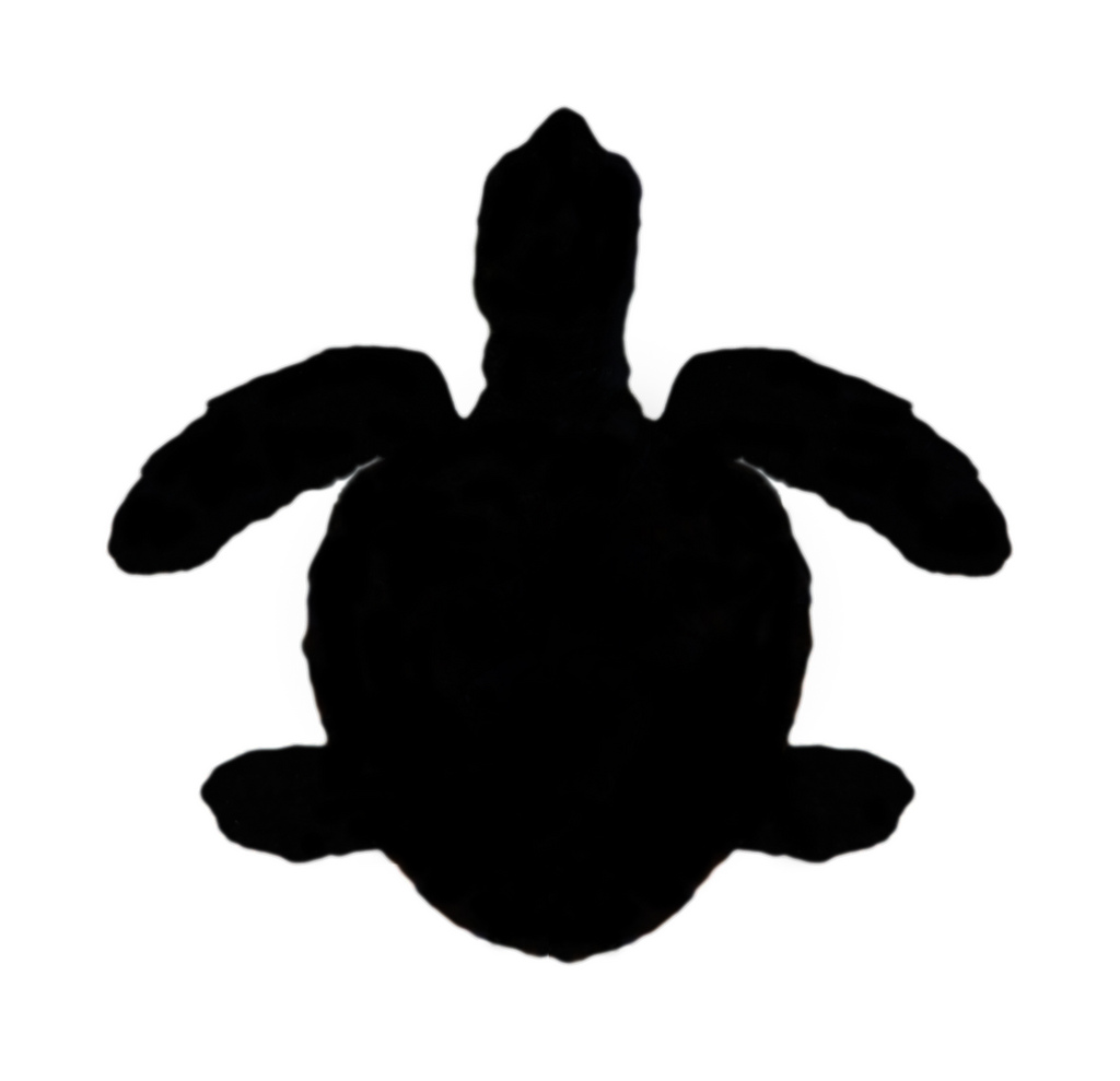 1024x989 Best Turtle Silhouette