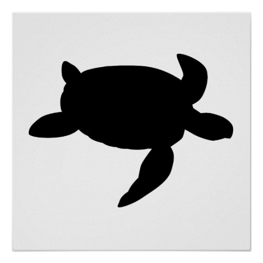 512x512 Shadows Clipart Turtle