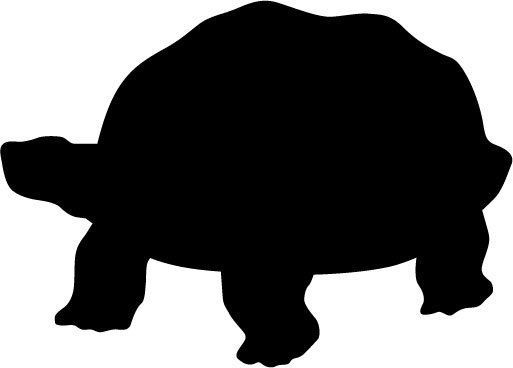 513x368 Tortoise Clipart Silhouette