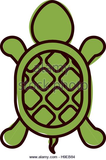 360x540 Turtle Clip Art Stock Photos Amp Turtle Clip Art Stock Images