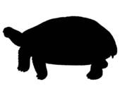 170x136 Turtle Silhouette Clip Art