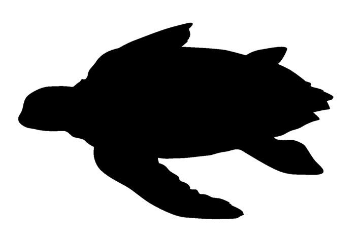 711x480 Turtle Silhouette Clipart