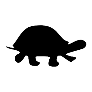 300x300 Turtle Clipart Shadow