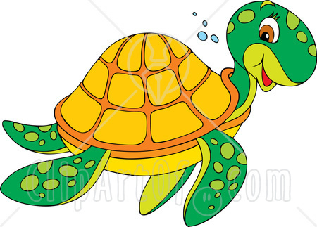 450x323 Colors Clipart Turtle