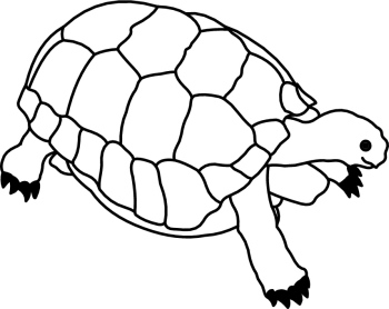 Turtles Clipart Black And White