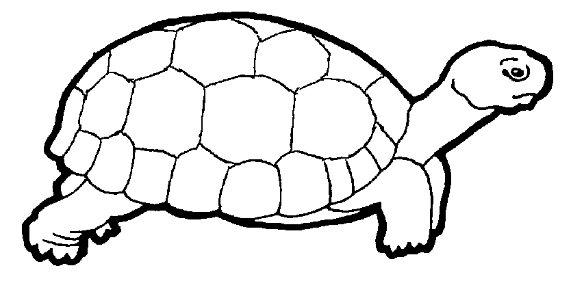 834x411 Turtle Clip Art Black And White Clipart Panda
