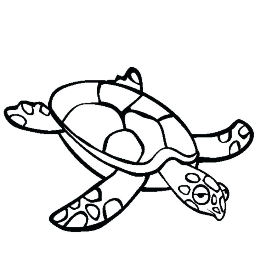 863x880 Sea Turtle Coloring Pages Turtles Outline Drawing Printable Images