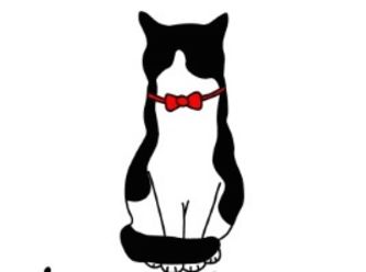 333x248 Tuxedo Cat Rescue
