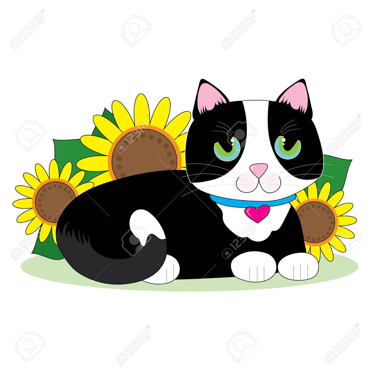 1300x1300 Black And White Tuxedo Cat Lying Down In A Bed Of Sunflowers