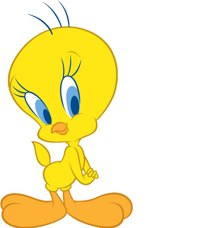 736x752 178 Best Tweety Bird Images Animation, Bird