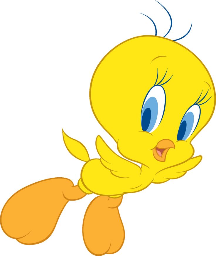 736x869 287 Best Tweety Bird Images Animation, Family