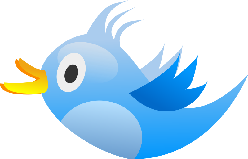 800x515 Tweet Bird Free Vector 4vector