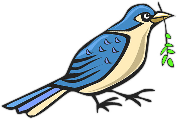 567x381 Bird Clipart Animal