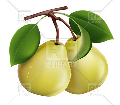 400x351 Pears With Twig And Leaf Royalty Free Vector Clip Art Image