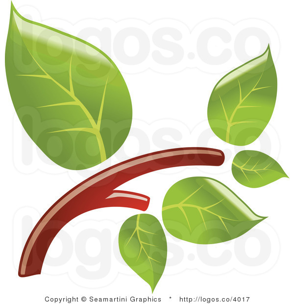 600x620 Twig With Leaves Clip Art Cliparts