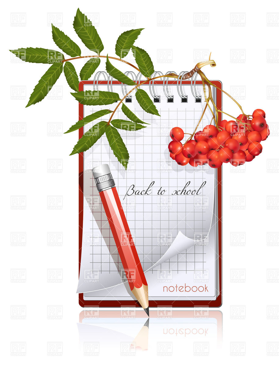 915x1200 Ashberry Twig And Spiral Notebook With Pencil Royalty Free Vector