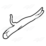 160x160 Clip Art Dinosaur Line Up Clipart