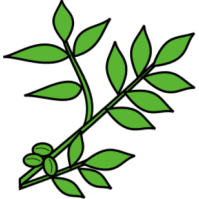 199x199 Twigs Clipart