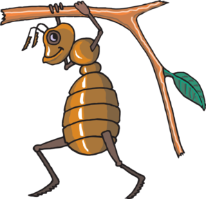 298x288 Ant Carrying Twig Clip Art