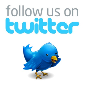 300x300 Follow Us On Twitter Bird Free Images