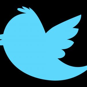 300x300 Official Twitter Clipart