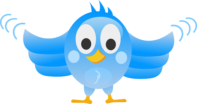 640x338 Tweeting, Twitter, Bird, Blue, Peep, Tweet, Wings