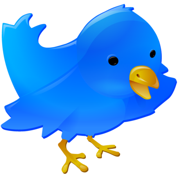 600x600 Twitter Bird Free Images