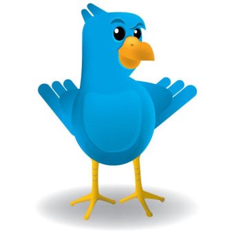 340x340 Twitter Bird Free Vector 123freevectors