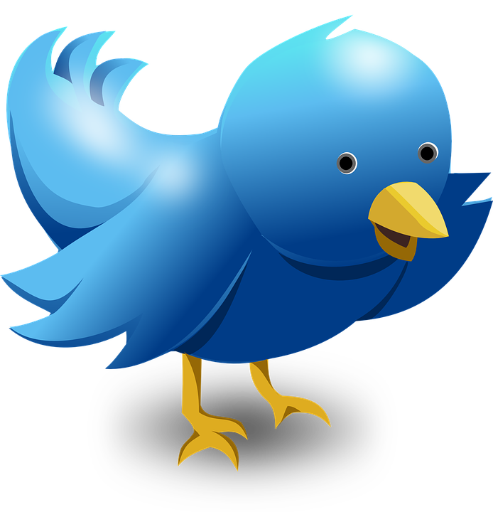 694x720 Twitter Logo Png Images Free Download