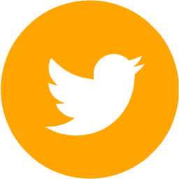 256x256 Orange Twitter 4 Icon
