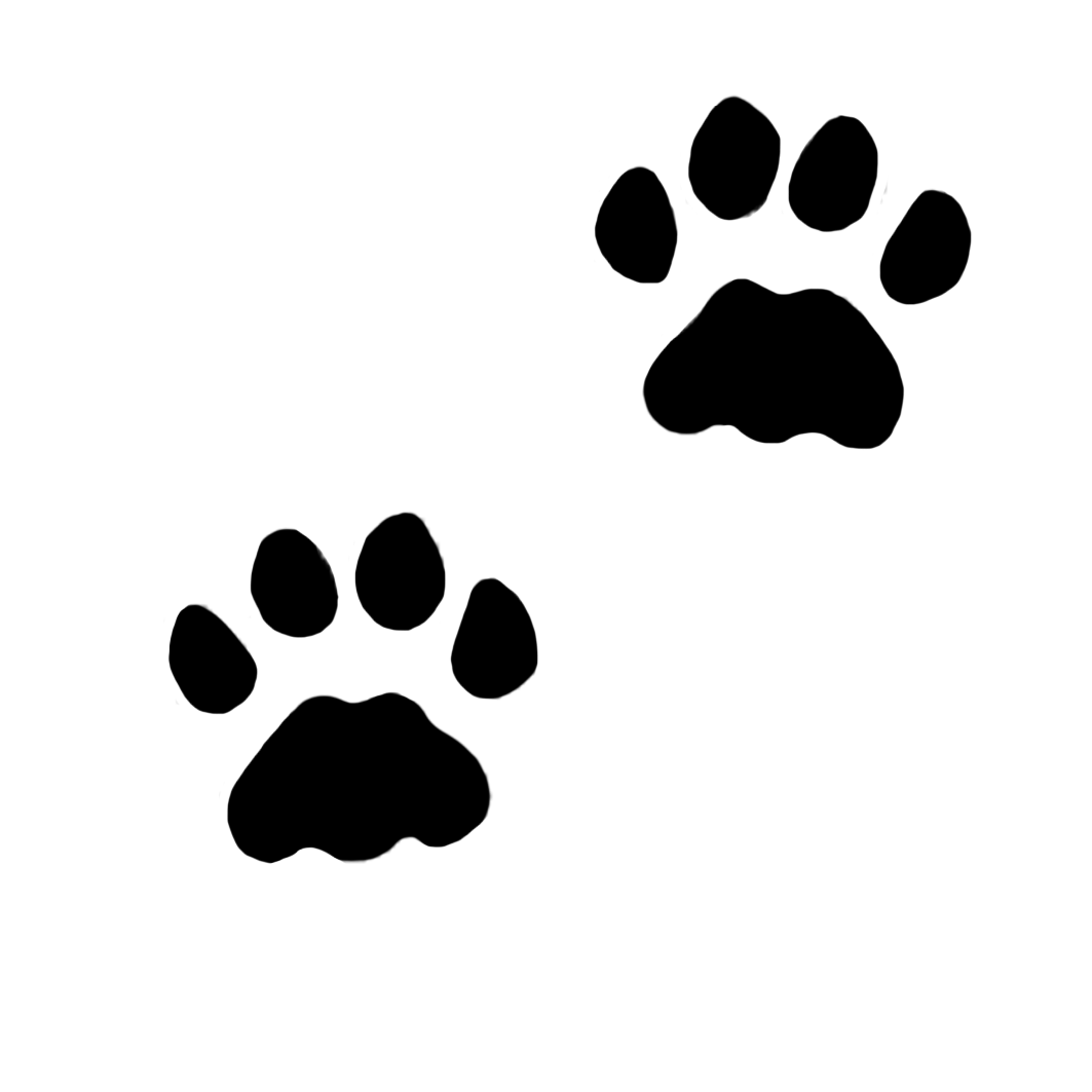 1063x1063 Paw Prints Clipart