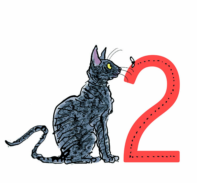 687x641 Cats Endpapers