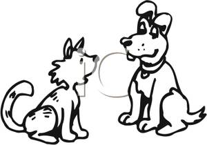 300x210 Black And White Dogs Sitting Facing Each Other