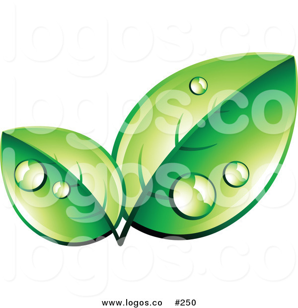 600x620 Royalty Free 3d Vector Logo Of Bright Green Organic Leaves