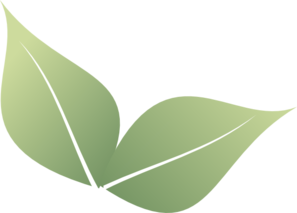 297x213 Two Leaves Clip Art