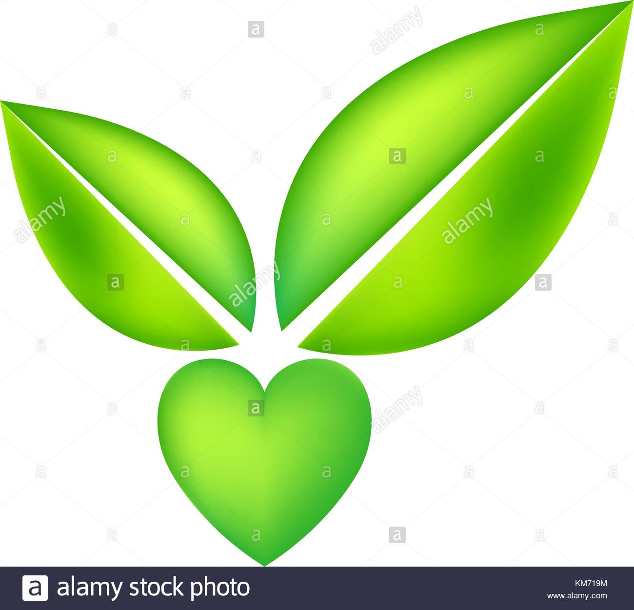 1300x1251 Two Leaves Logo Stock Photos Amp Two Leaves Logo Stock Images