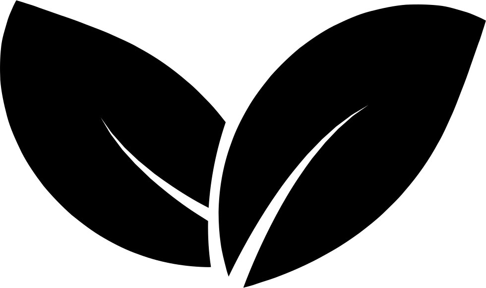 980x582 Two Leaves Svg Png Icon Free Download ( 40103)