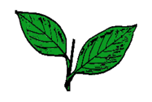 220x148 All India Anna Dravida Munnetra Kazhagam