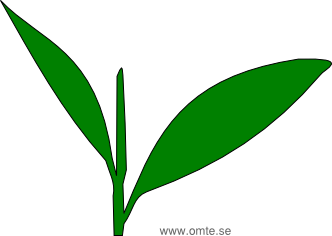 332x236 Bud Clipart Leaf