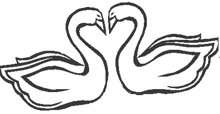 442x229 Black Swan Clipart Two Swan