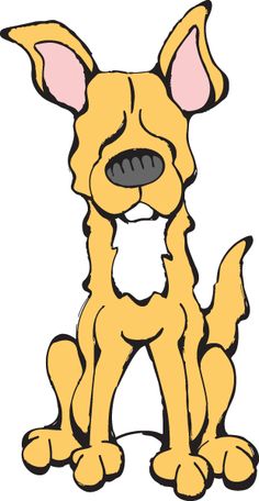 236x456 Daily Dog Breed From The Dog Table Is The Kuvasz From The Working