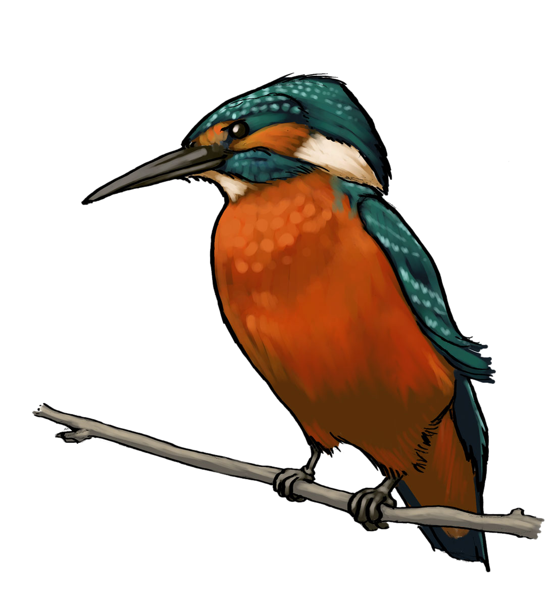 1107x1206 Free To Use Amp Public Domain Animals Clip Art