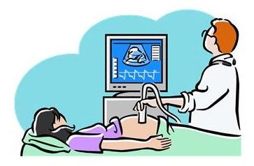 363x238 Sonogram Clipart Clipart Panda
