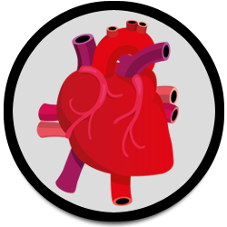 250x250 Cardiac Ultrasound Clip Art Cliparts