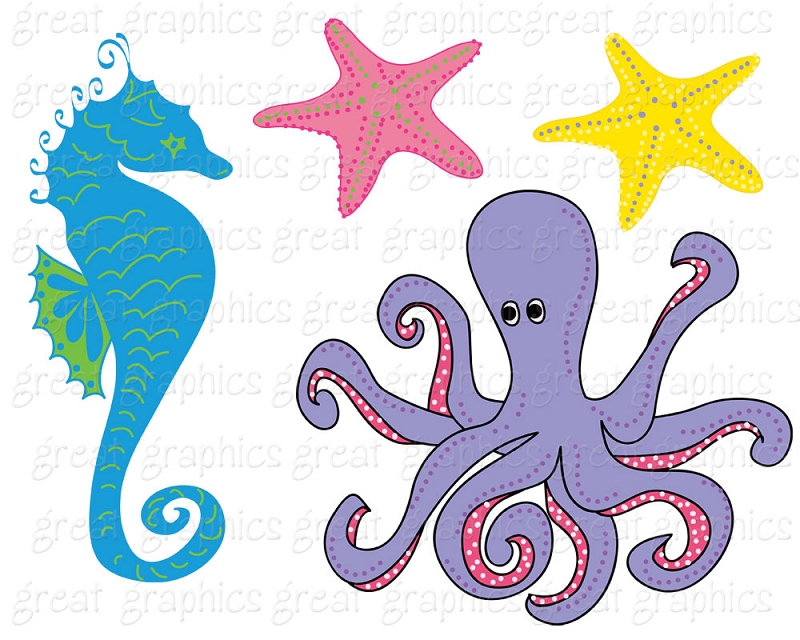 800x640 Animal Under The Sea Clipart