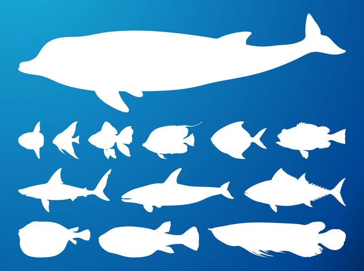 736x549 140 Best Book Page Art Prompts Images Diy, Deko