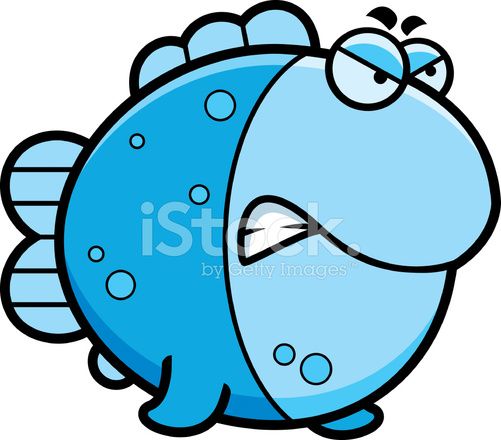 501x440 314 Best Under The Sea Images Colors, Crafts