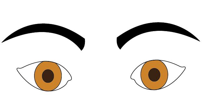647x321 Eyebrow Face Reading Eyebrows Shapes Meaning And Personality