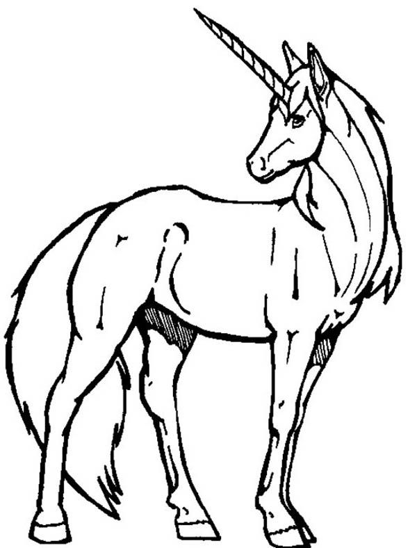 600x788 Best Drawings Of Unicorns Ideas Unicorn Drawing