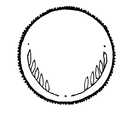 585x497 Free Coin Clip Art Pictures